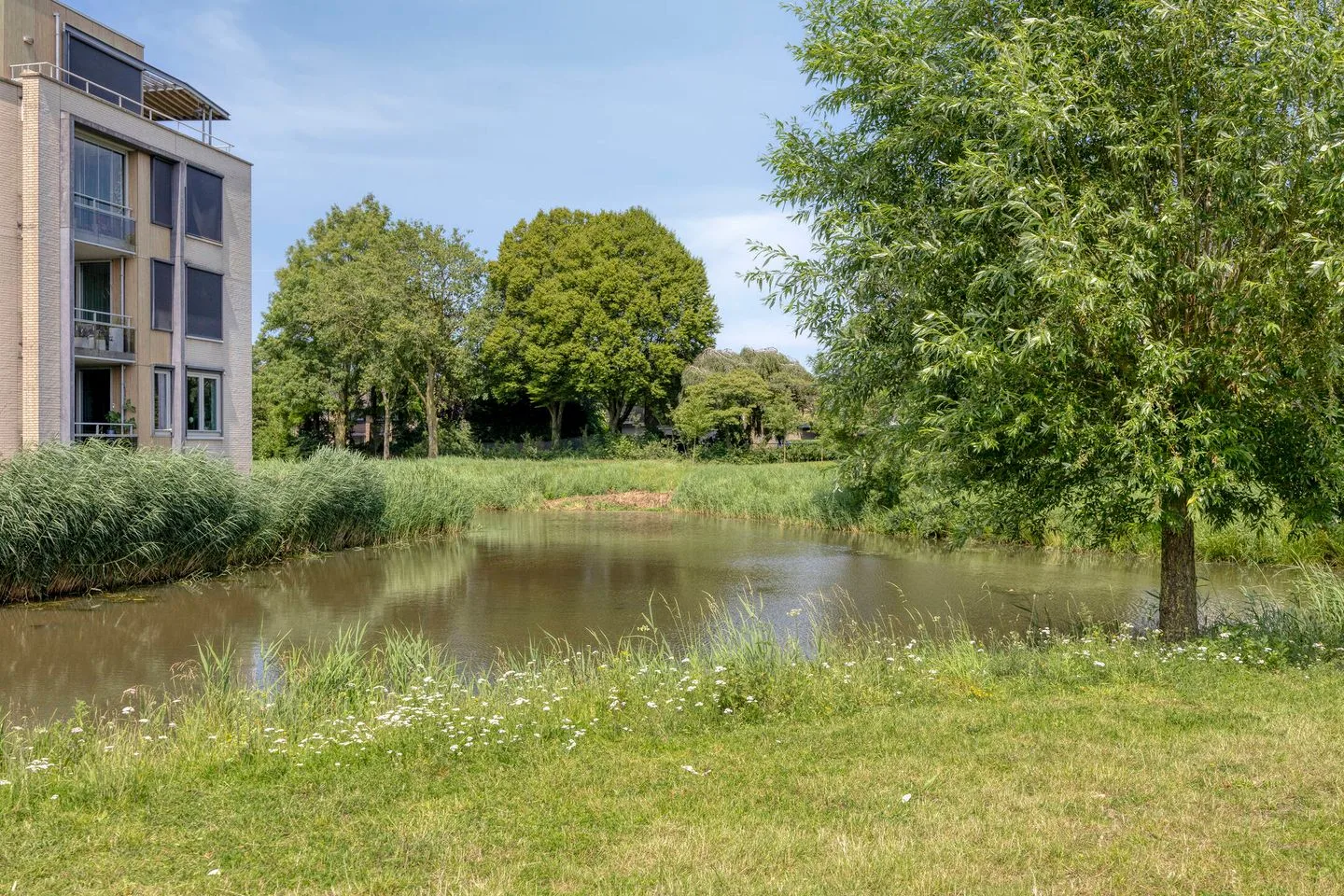 Cipresberg 23 Roosendaal thumbnail 34