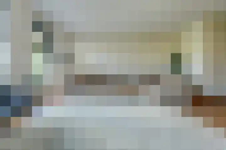 Cipreshout 12 Barendrecht thumbnail 10