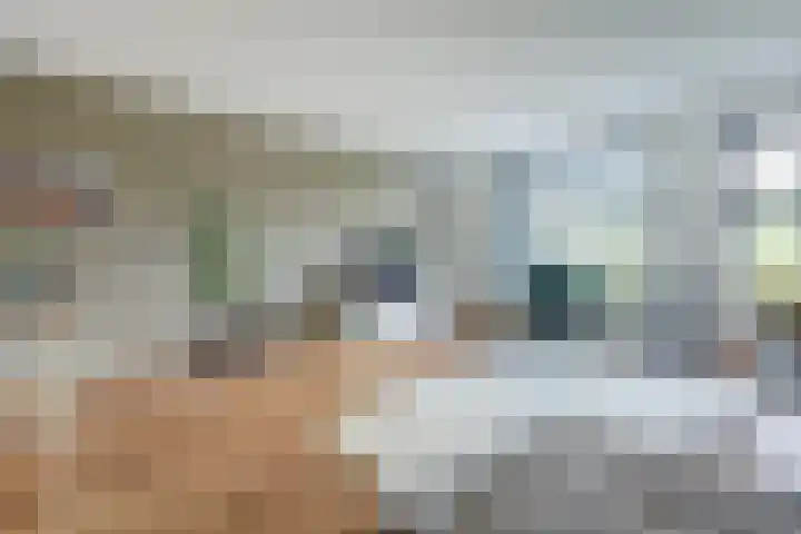 Cipreshout 12 Barendrecht thumbnail 11