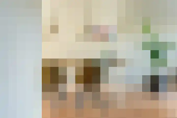 Cipreshout 12 Barendrecht thumbnail 20