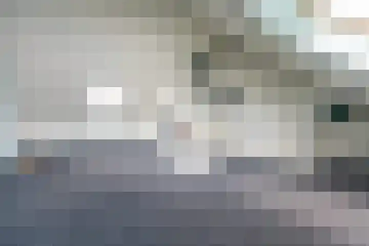 Cipreshout 12 Barendrecht thumbnail 38