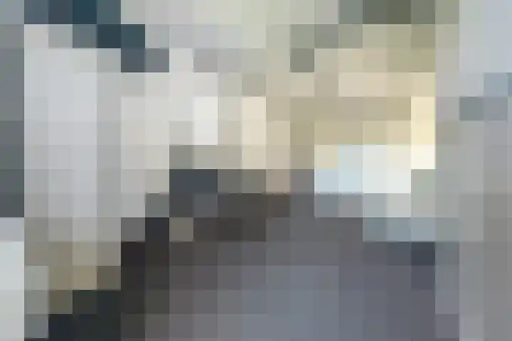 Cipreshout 12 Barendrecht thumbnail 39