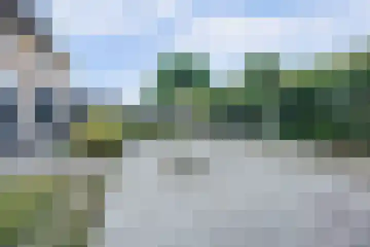 Cipreshout 12 Barendrecht thumbnail 40