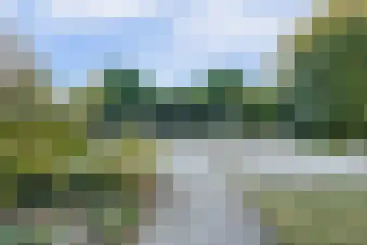Cipreshout 12 Barendrecht thumbnail 42