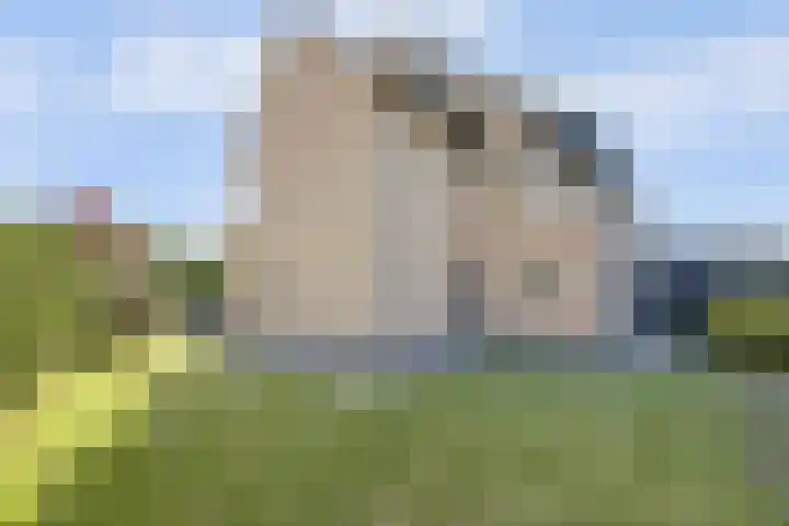 Cipreshout 12 Barendrecht thumbnail 43