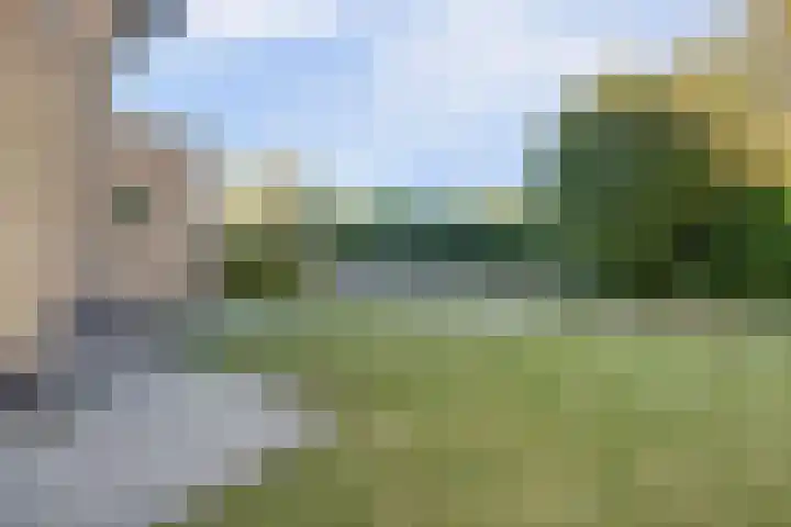 Cipreshout 12 Barendrecht thumbnail 44