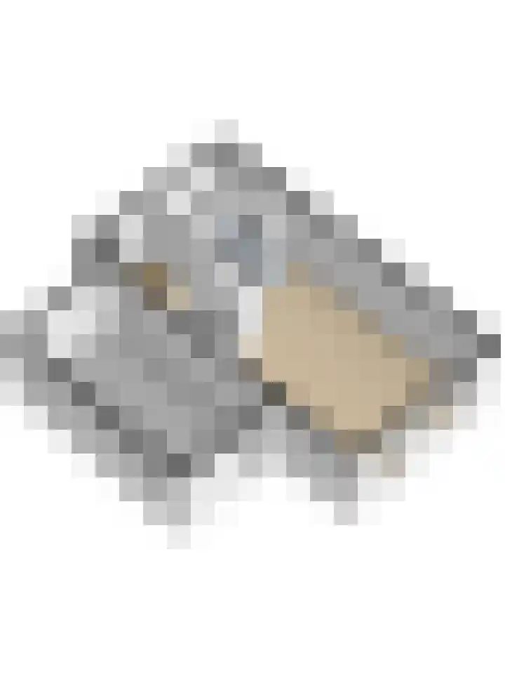 Cipreshout 12 Barendrecht thumbnail 48