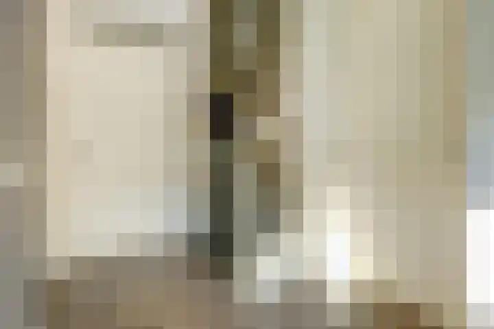 Cipreshout 12 Barendrecht thumbnail 8
