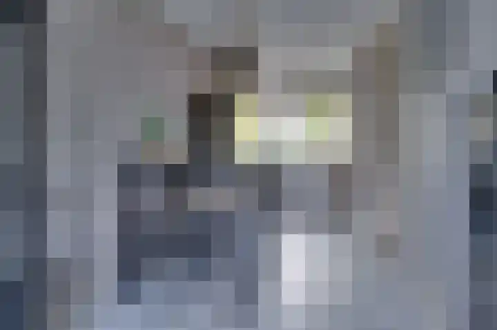 Cipreshout 14 Barendrecht thumbnail 17