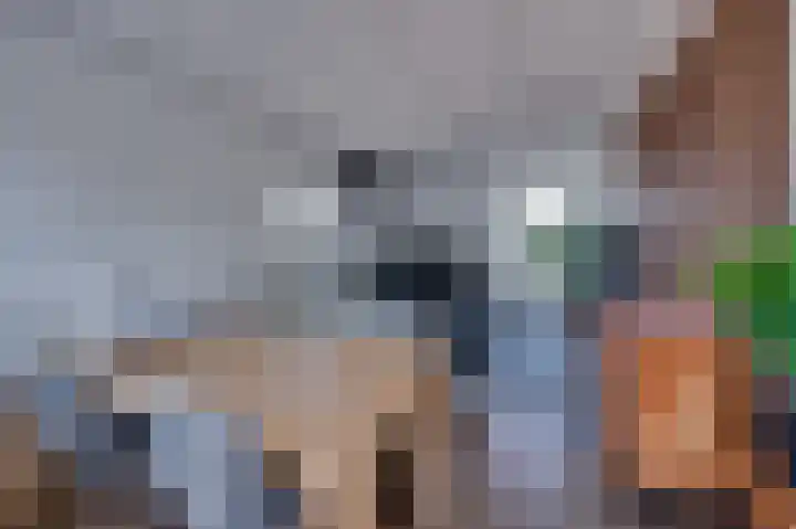Cipreshout 14 Barendrecht thumbnail 4