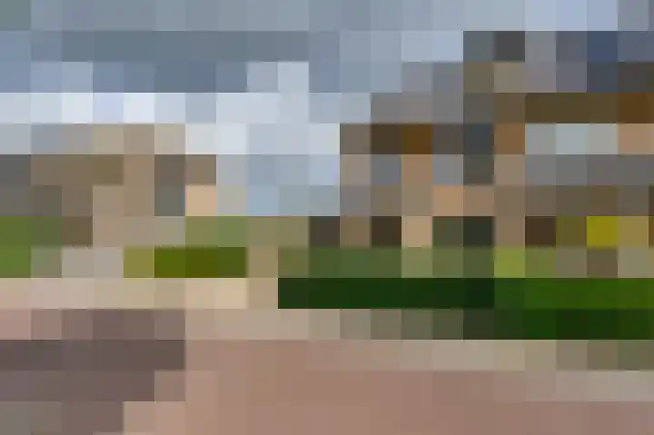 Cipreshout 14 Barendrecht thumbnail 47