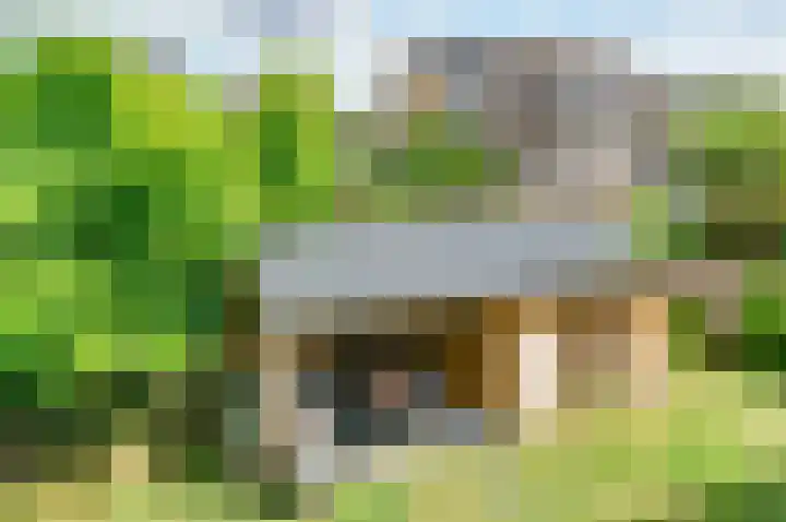Cipreshout 14 Barendrecht thumbnail 5