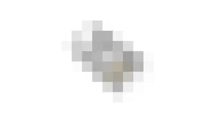 Cipreshout 14 Barendrecht thumbnail 56
