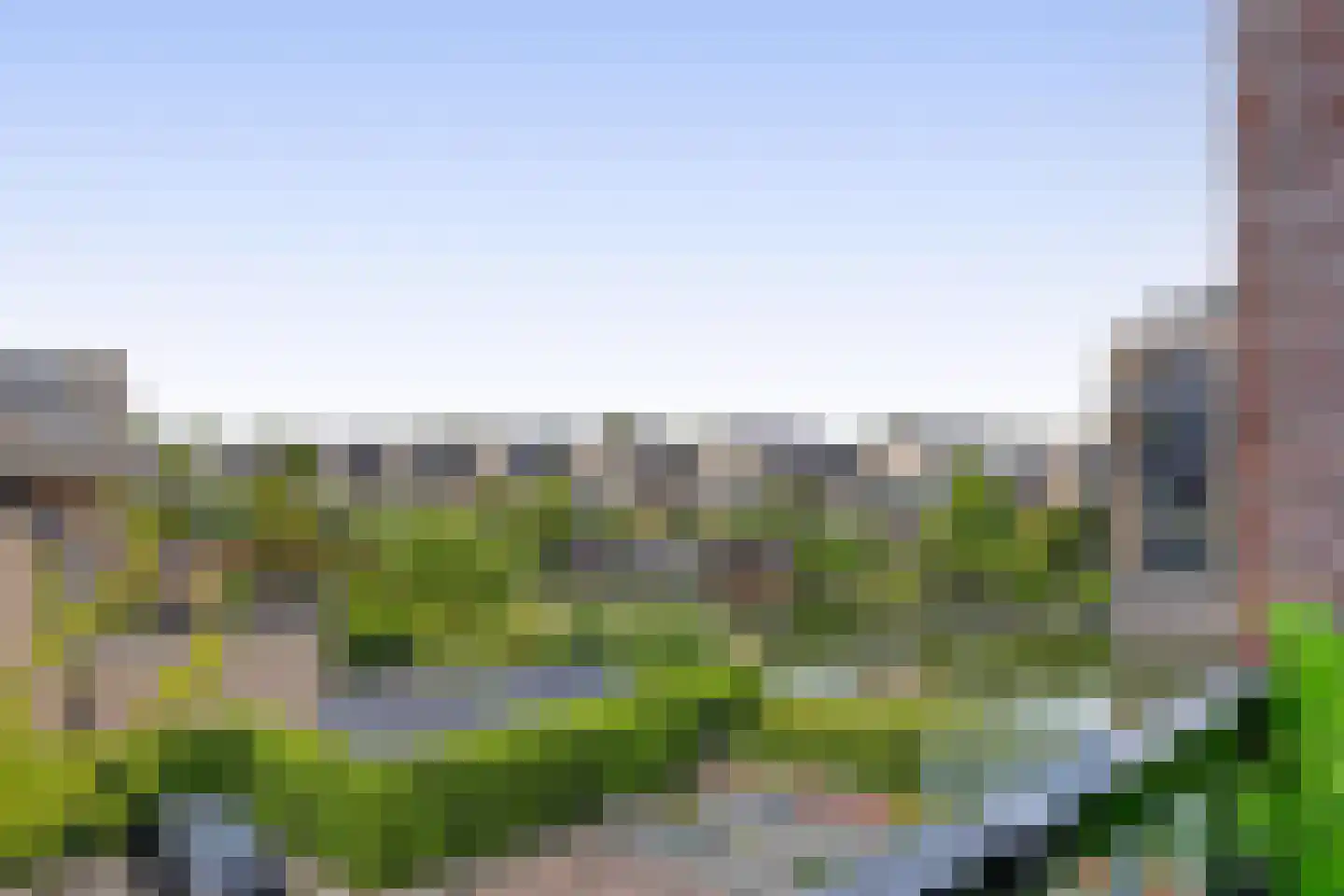 Cipreshout 44 Barendrecht thumbnail 28