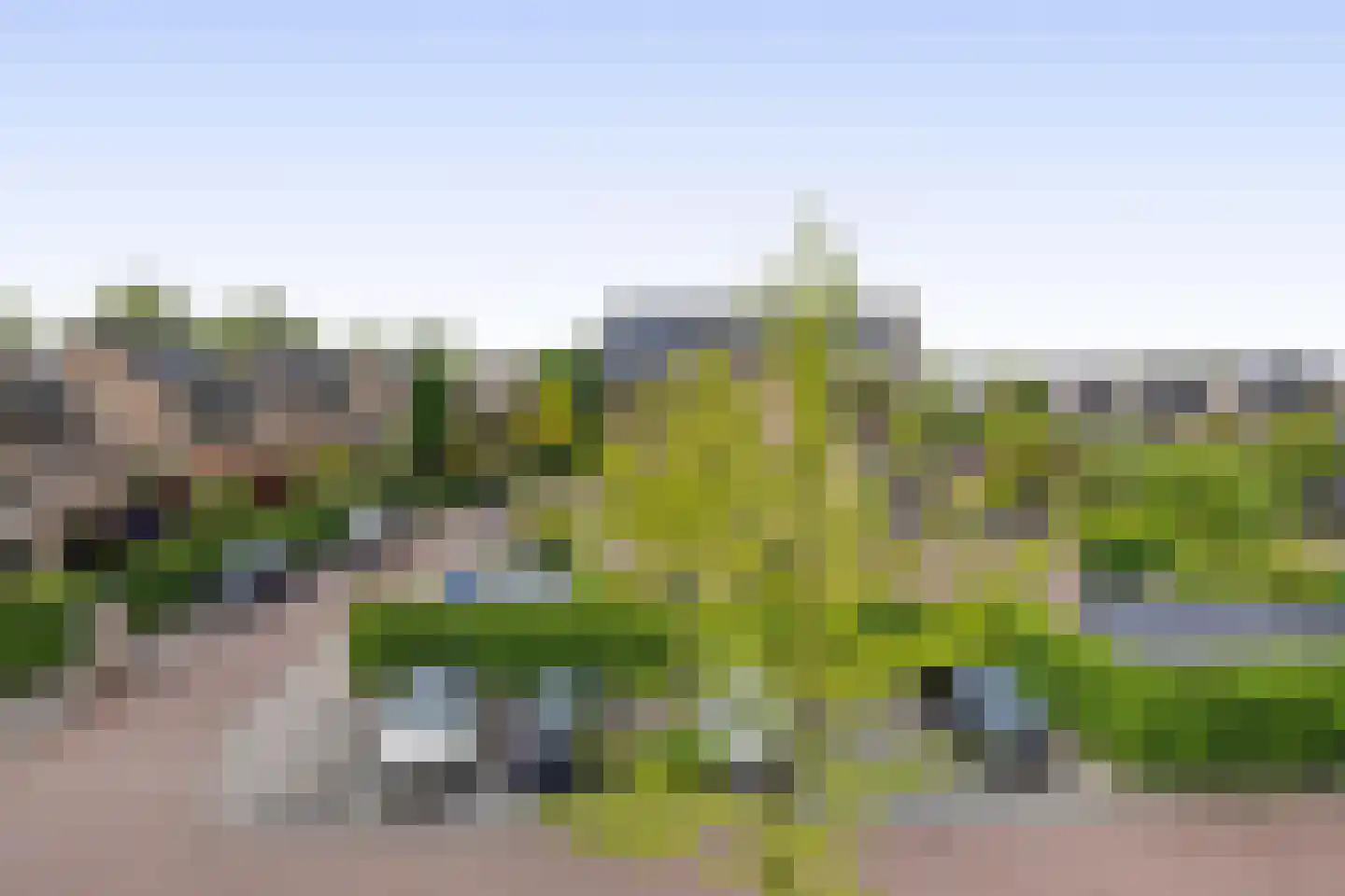Cipreshout 44 Barendrecht thumbnail 29