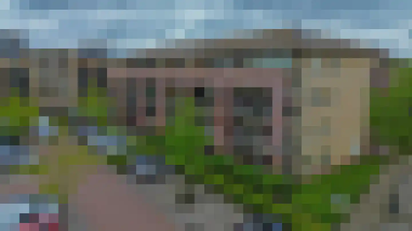 Cipreshout 44 Barendrecht thumbnail 44