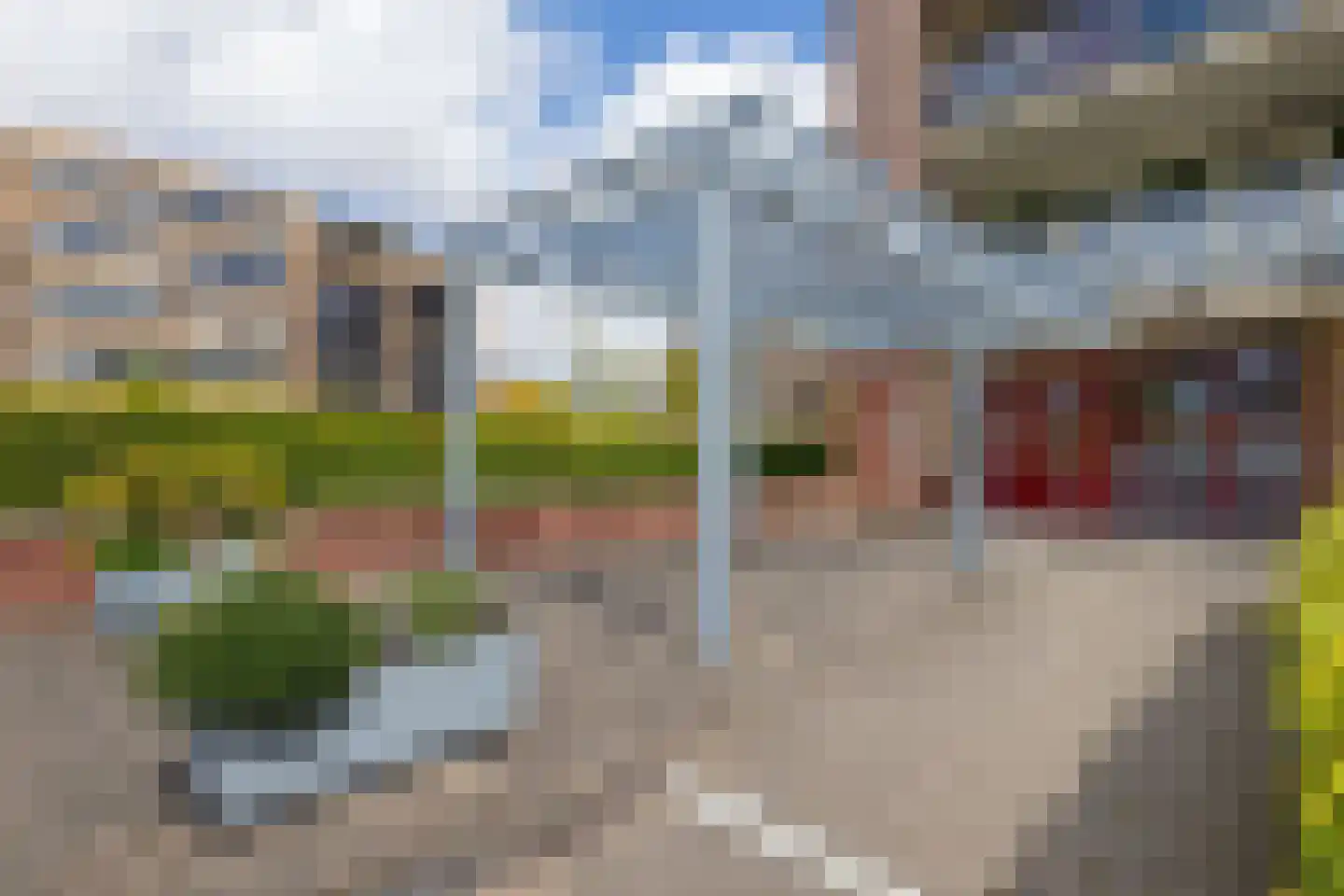 Cipreshout 44 Barendrecht thumbnail 5