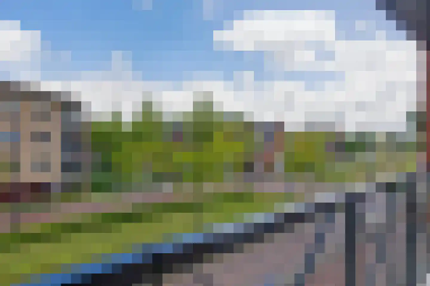 Cipreshout 44 Barendrecht thumbnail 9