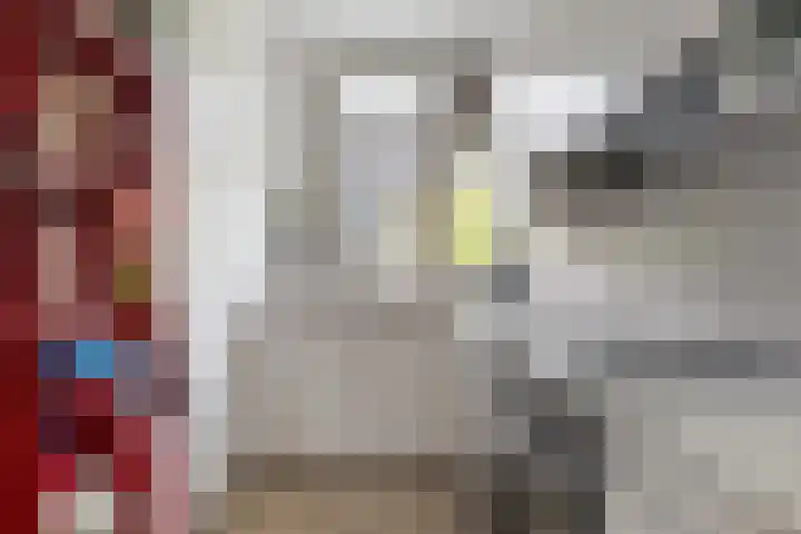 Cipreslaan 10 Rotterdam thumbnail 12