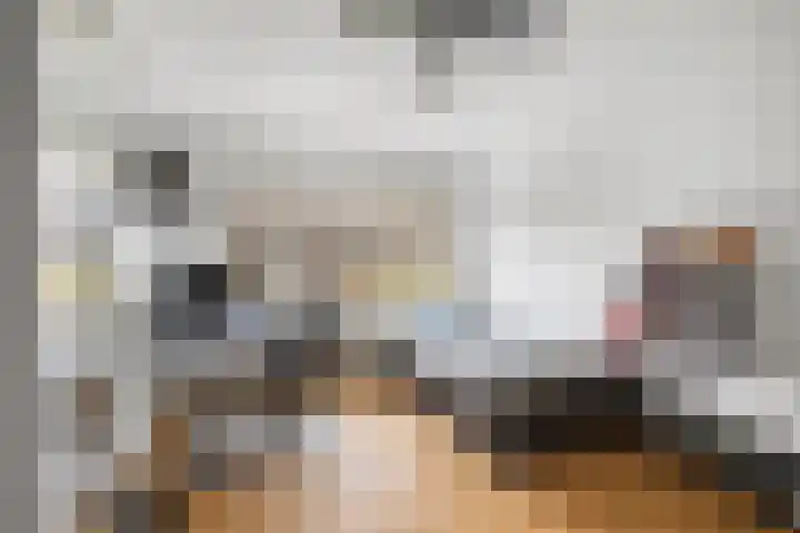 Cipreslaan 10 Rotterdam thumbnail 17