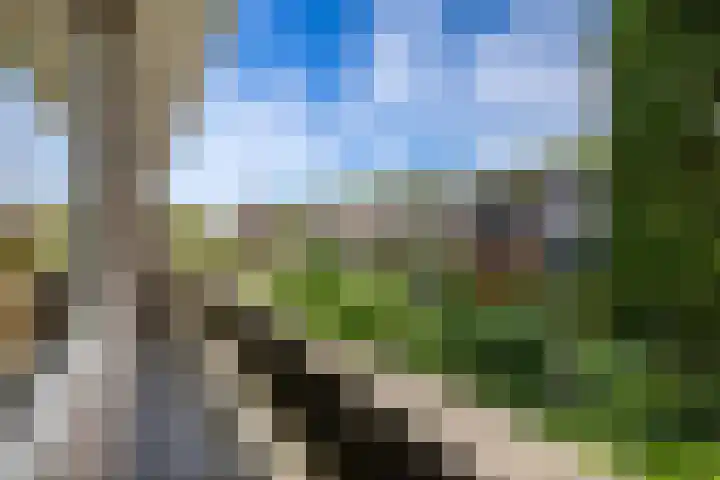 Cipreslaan 10 Rotterdam thumbnail 21