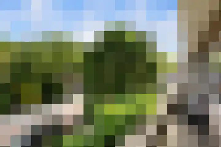 Cipreslaan 10 Rotterdam thumbnail 22