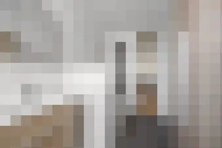 Cipreslaan 10 Rotterdam thumbnail 24