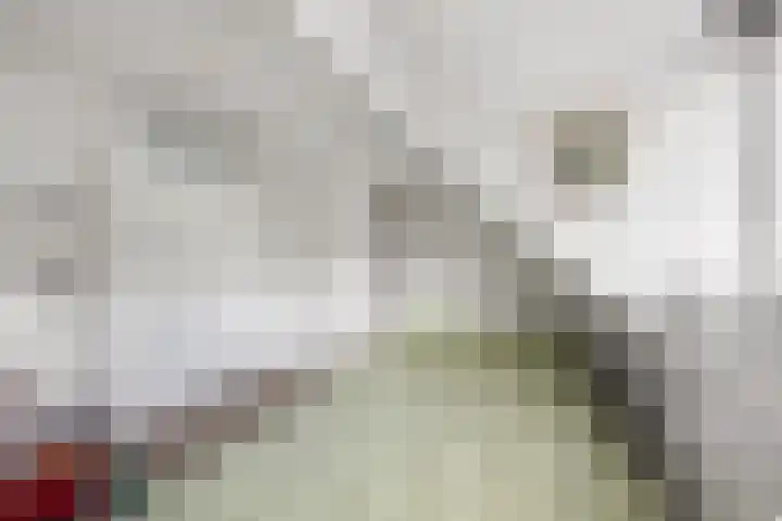 Cipreslaan 10 Rotterdam thumbnail 30