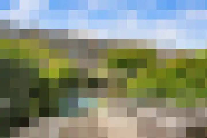 Cipreslaan 10 Rotterdam thumbnail 38