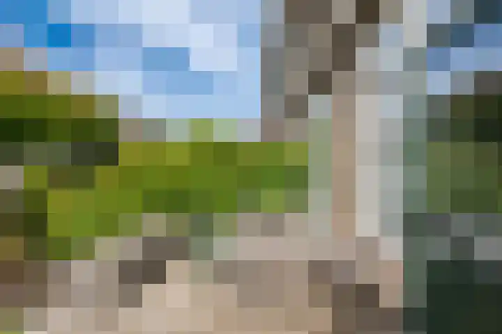 Cipreslaan 10 Rotterdam thumbnail 39