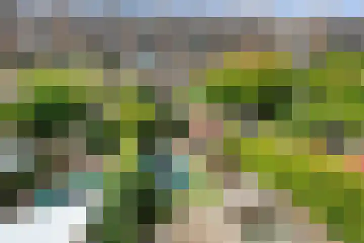 Cipreslaan 10 Rotterdam thumbnail 4