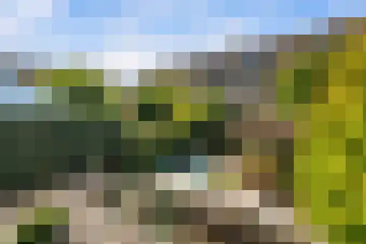 Cipreslaan 10 Rotterdam thumbnail 40