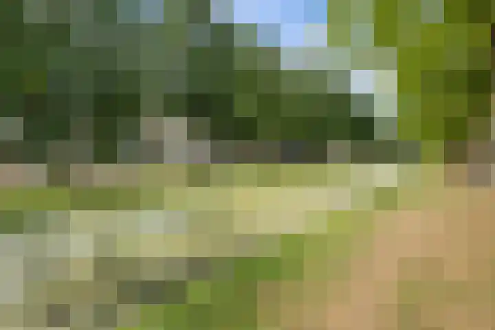 Cipreslaan 10 Rotterdam thumbnail 44