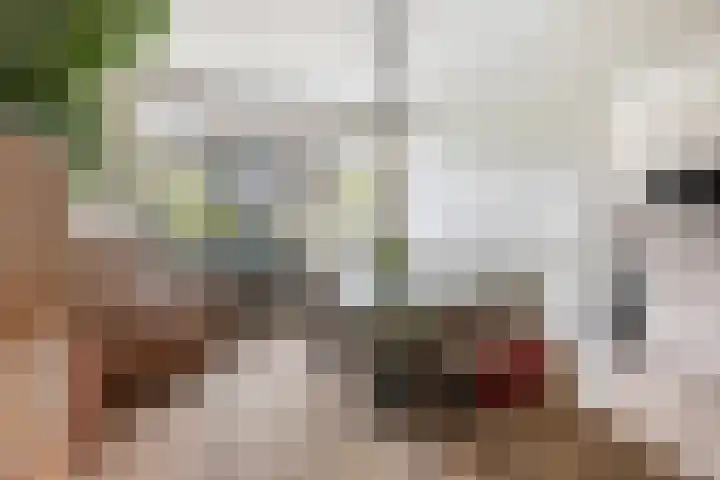 Cipreslaan 10 Rotterdam thumbnail 9