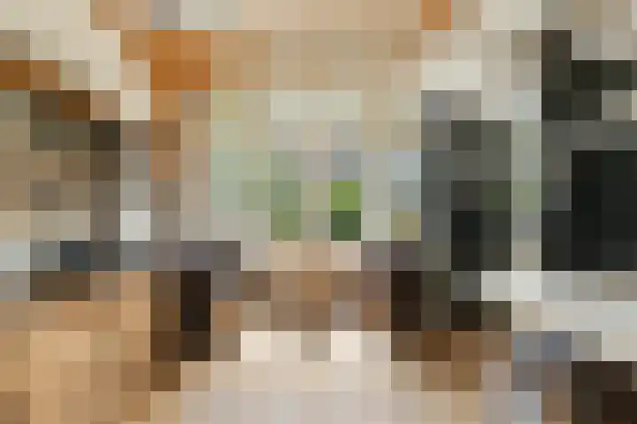 Cipreslaan 26 Rotterdam thumbnail 12