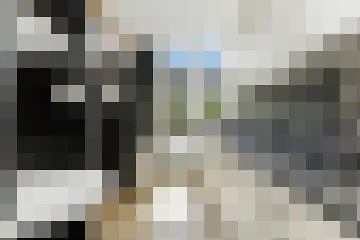 Cipreslaan 26 Rotterdam thumbnail 19