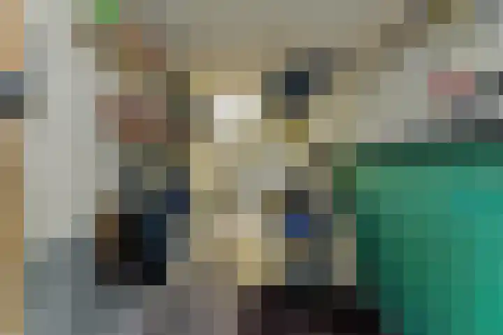 Cipreslaan 26 Rotterdam thumbnail 22
