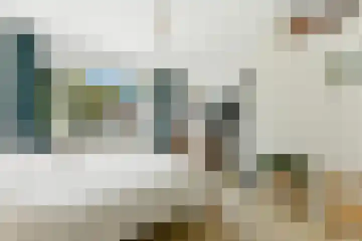 Cipreslaan 26 Rotterdam thumbnail 35