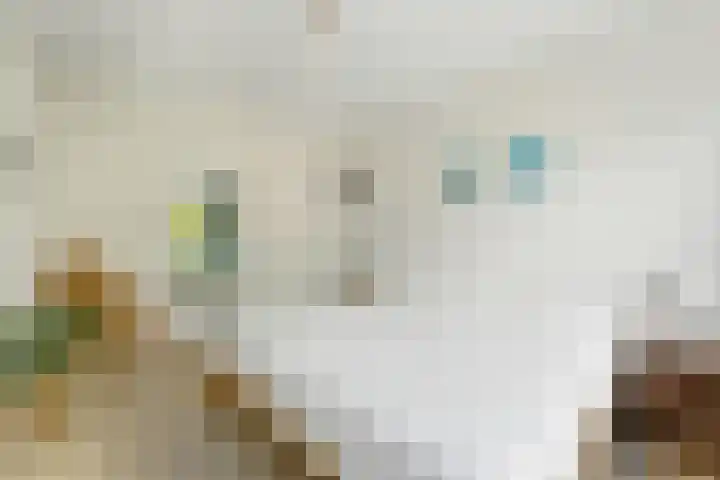 Cipreslaan 26 Rotterdam thumbnail 36
