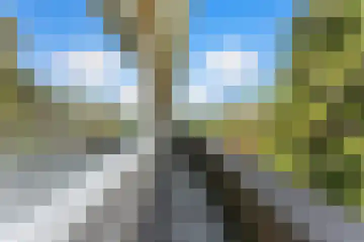 Cipreslaan 26 Rotterdam thumbnail 37