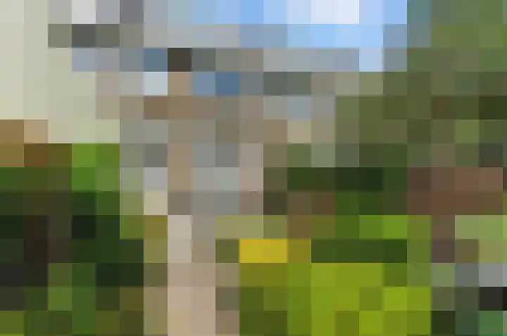Cipreslaan 26 Rotterdam thumbnail 49