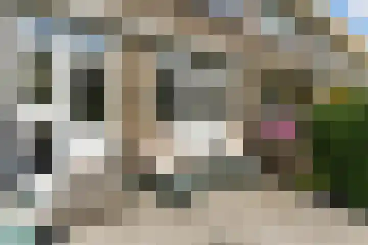 Cipreslaan 26 Rotterdam thumbnail 51