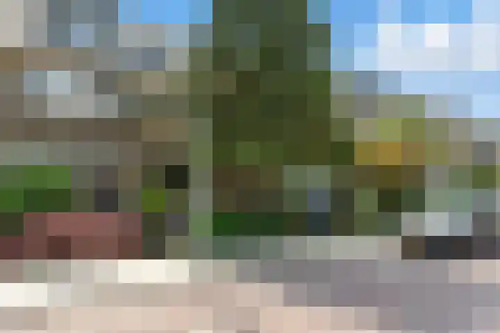 Cipreslaan 26 Rotterdam thumbnail 6