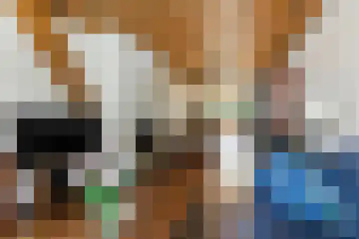 Cipreslaan 26 Rotterdam thumbnail 9
