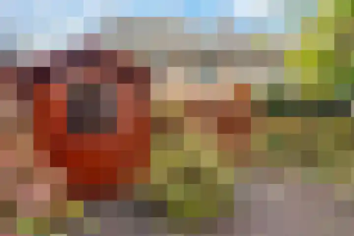 Cipreslaan 4 Rotterdam thumbnail 13