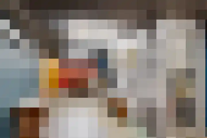Cipreslaan 4 Rotterdam thumbnail 18
