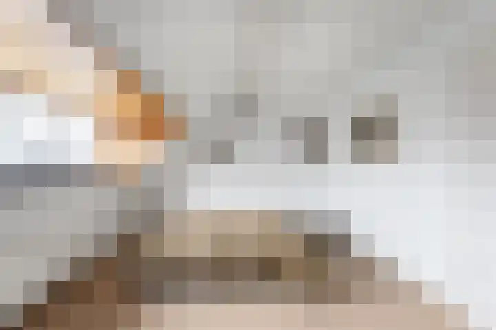 Cipreslaan 4 Rotterdam thumbnail 34