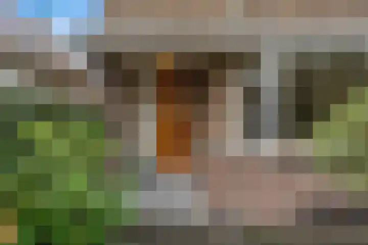 Cipreslaan 4 Rotterdam thumbnail 4