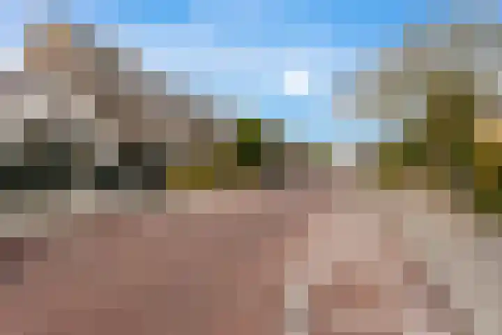 Cipreslaan 4 Rotterdam thumbnail 40