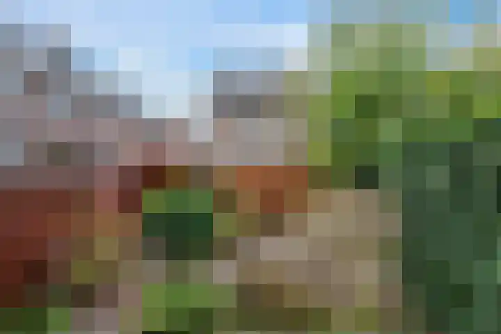 Cipreslaan 4 Rotterdam thumbnail 9
